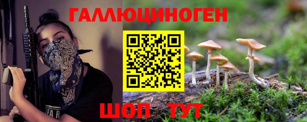 Балашов  Галлюциногенные грибы ЛСД  Вход с VPN 