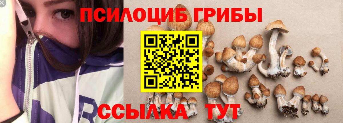 Галлюциногенные грибы GOLDEN TEACHER Балашов
